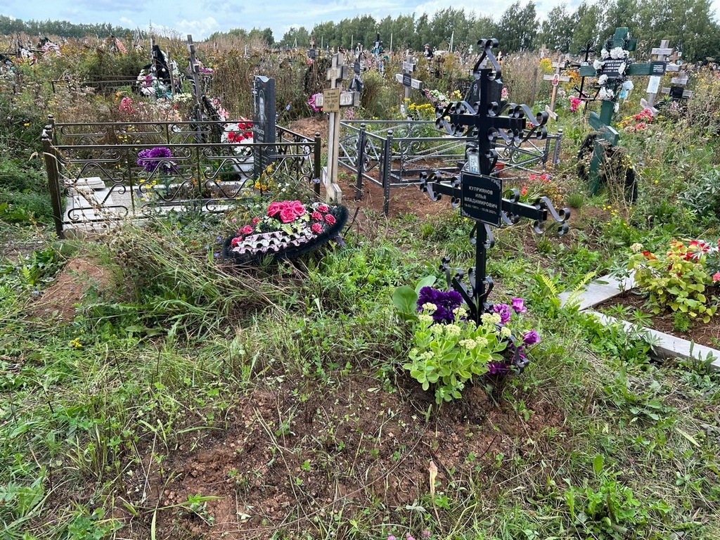 Куприянов Илья Владимирович