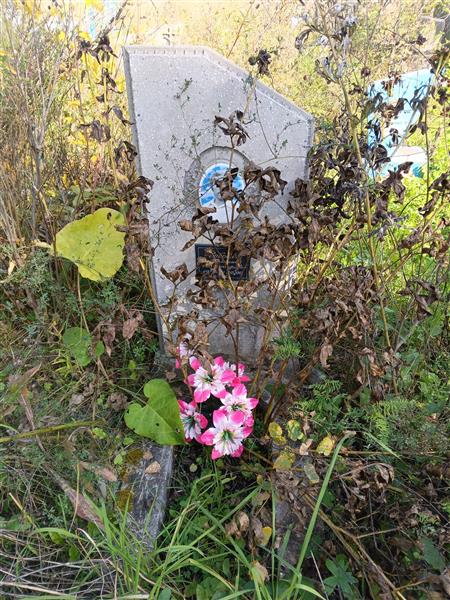 Соболев Николай Александрович