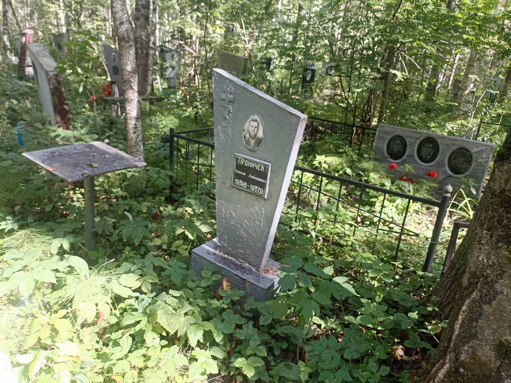 Проничев Николай Алексеевич