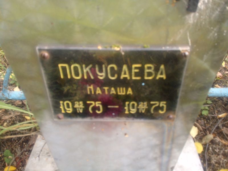 Наташа Покусаева