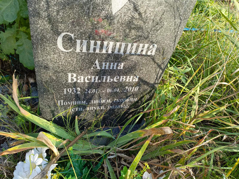Синицина