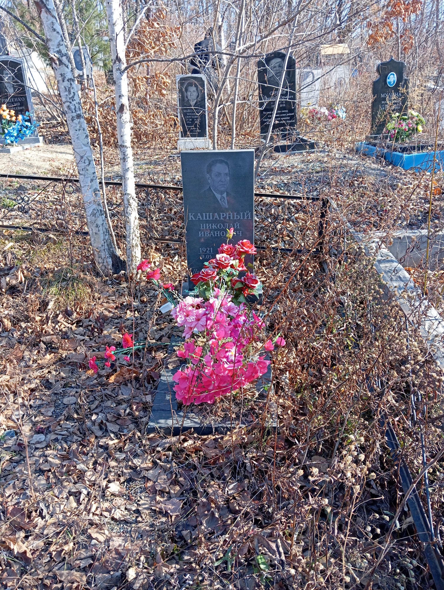 Кашарный Николай Иванович
