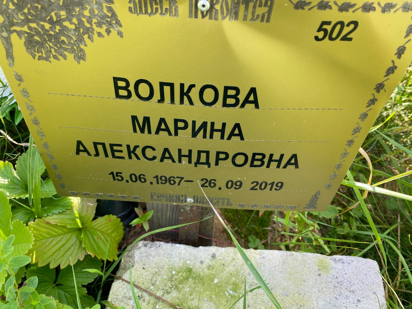 Волкова