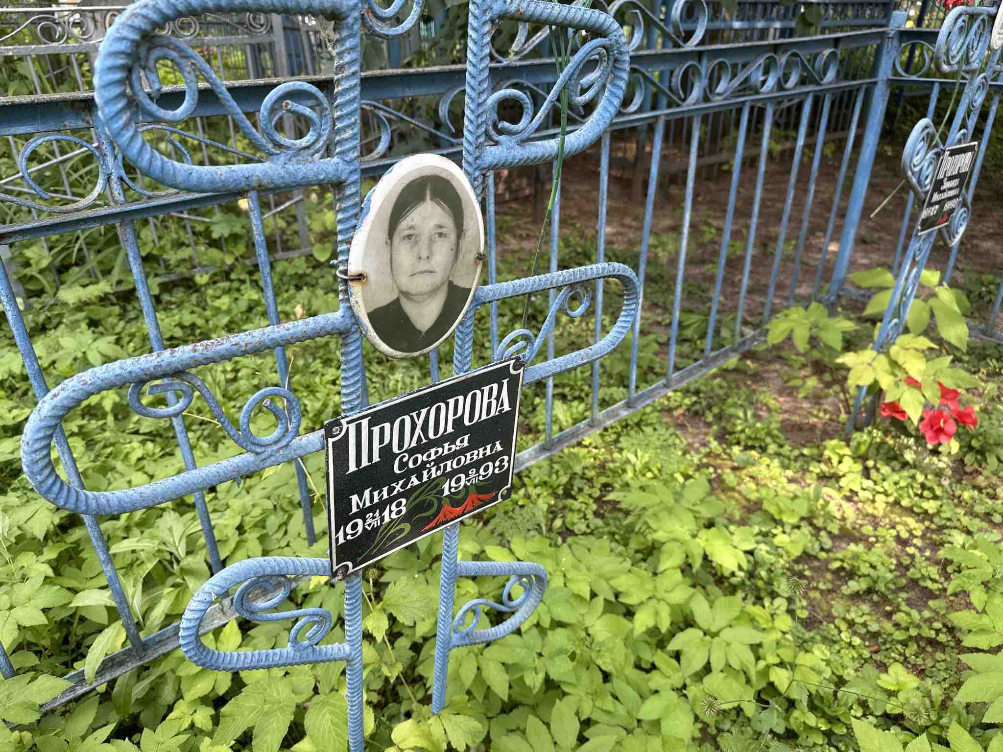 Прохорова Софья Михайловна