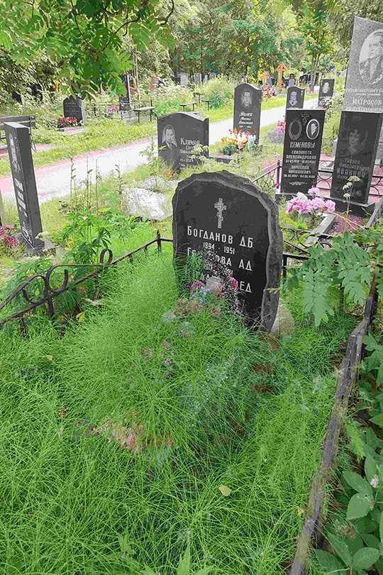 Богданова Е. Д.