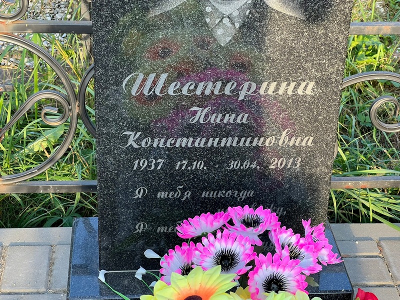 Шестерина