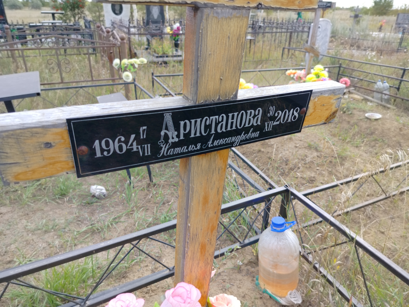 Аристанова Наталья Александровна