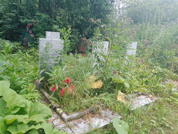 Новоселов Иван Алексеевич