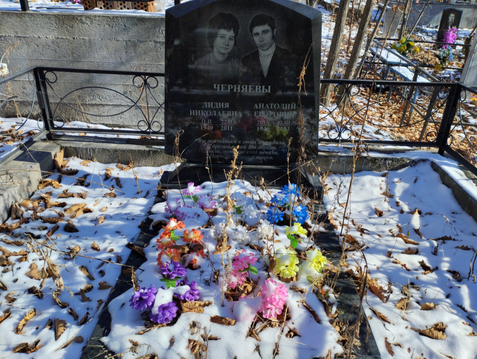 Черняев Анатолий Егорович