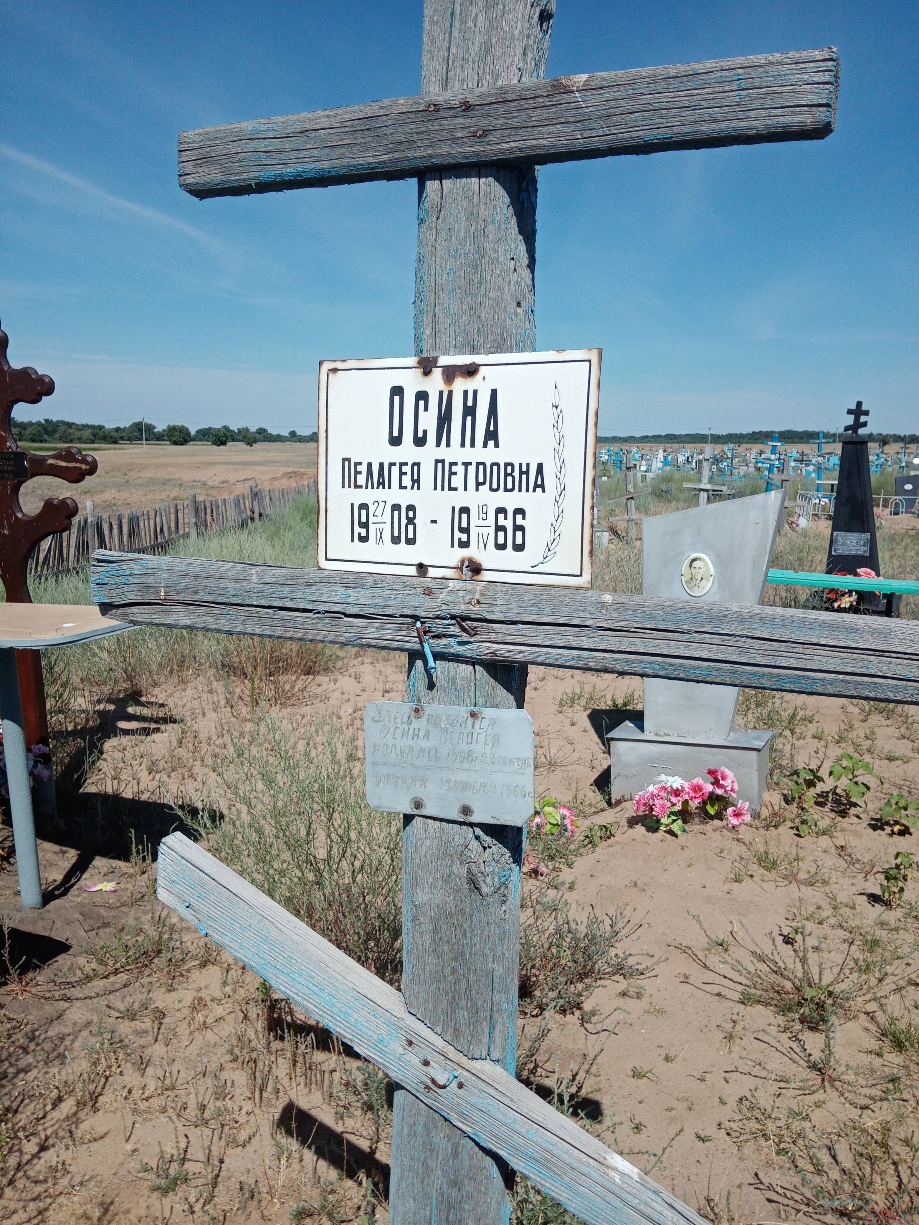 Осина Пелагея Петровна