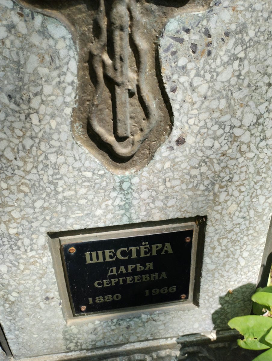 Шестёра Дарья Сергеевна