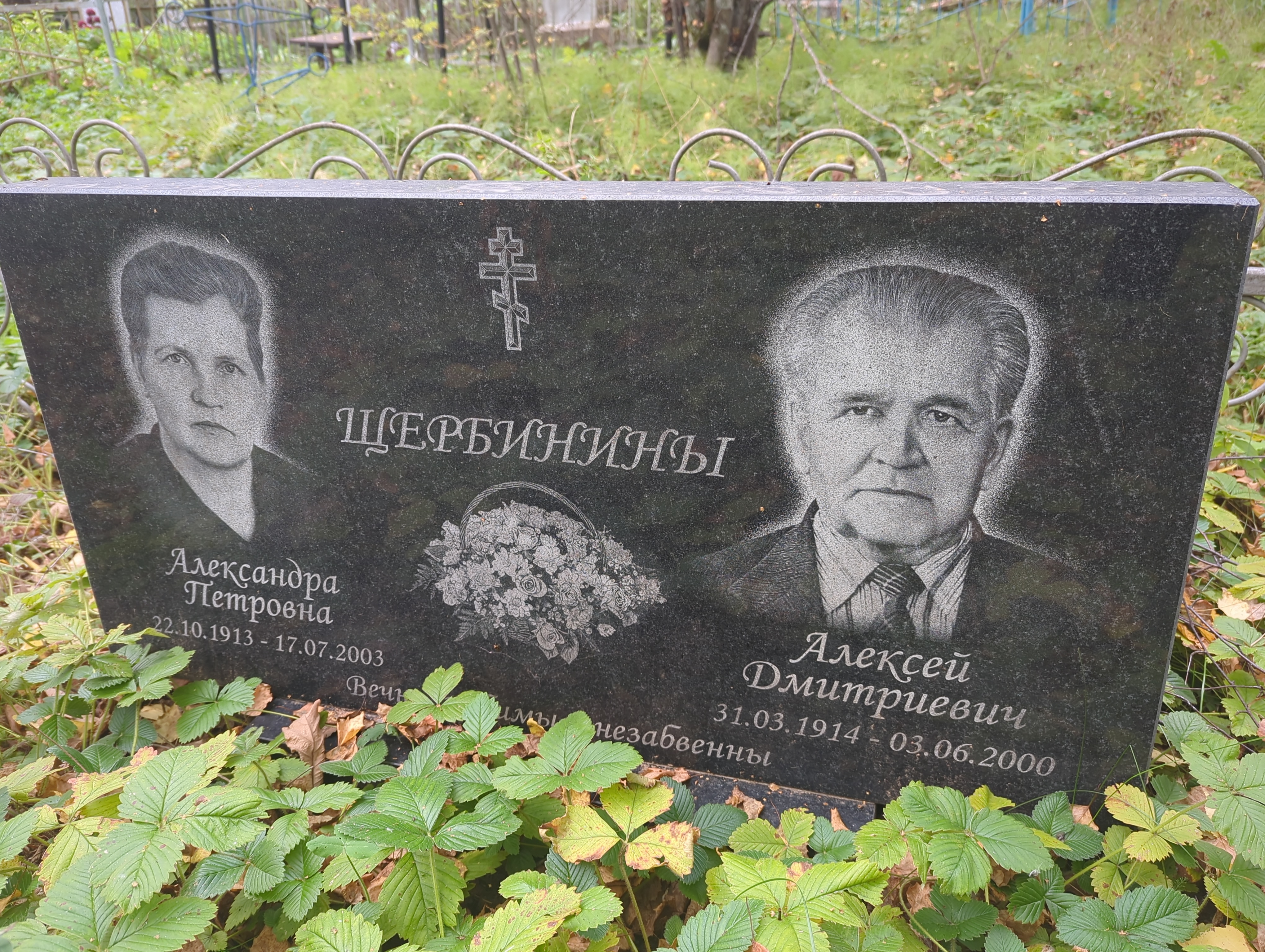 Щербинин Алексей Дмитриевич