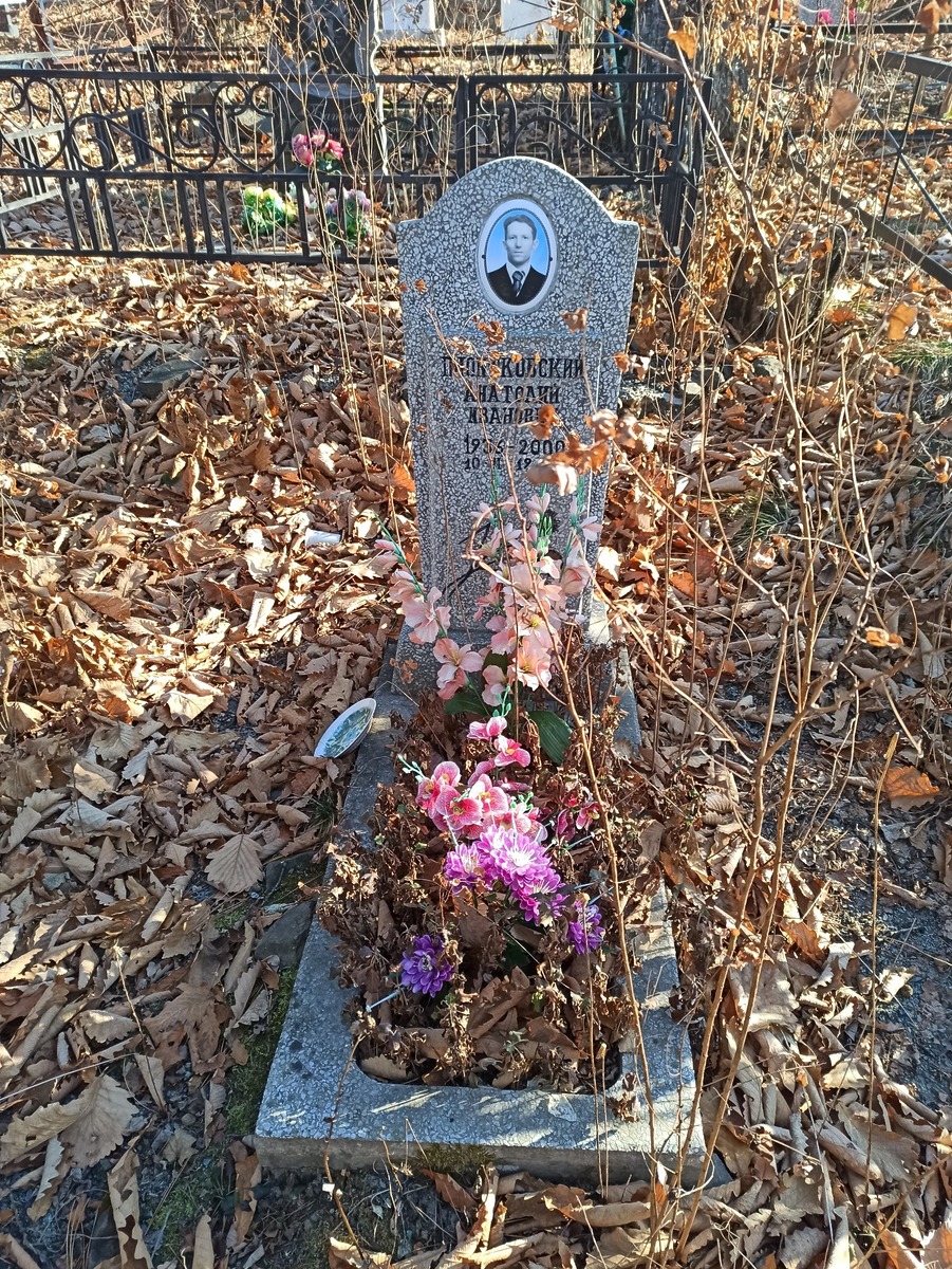 Пионтковский Анатолий Иванович