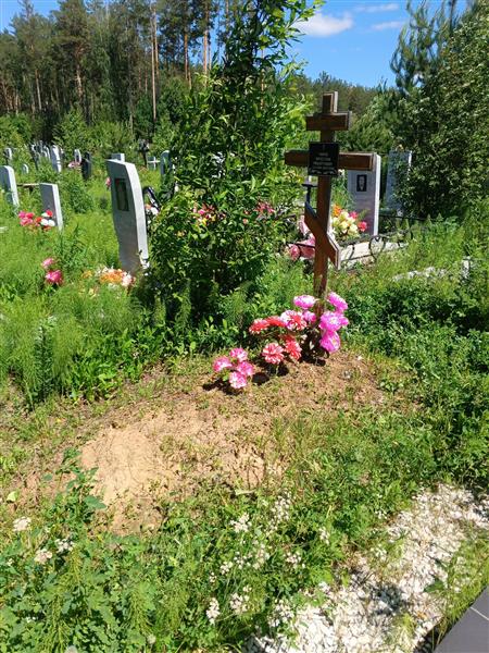 Танов Вячеслав Робертович