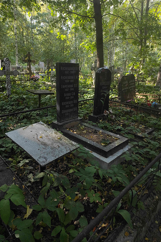 Ефремова Л. Е.