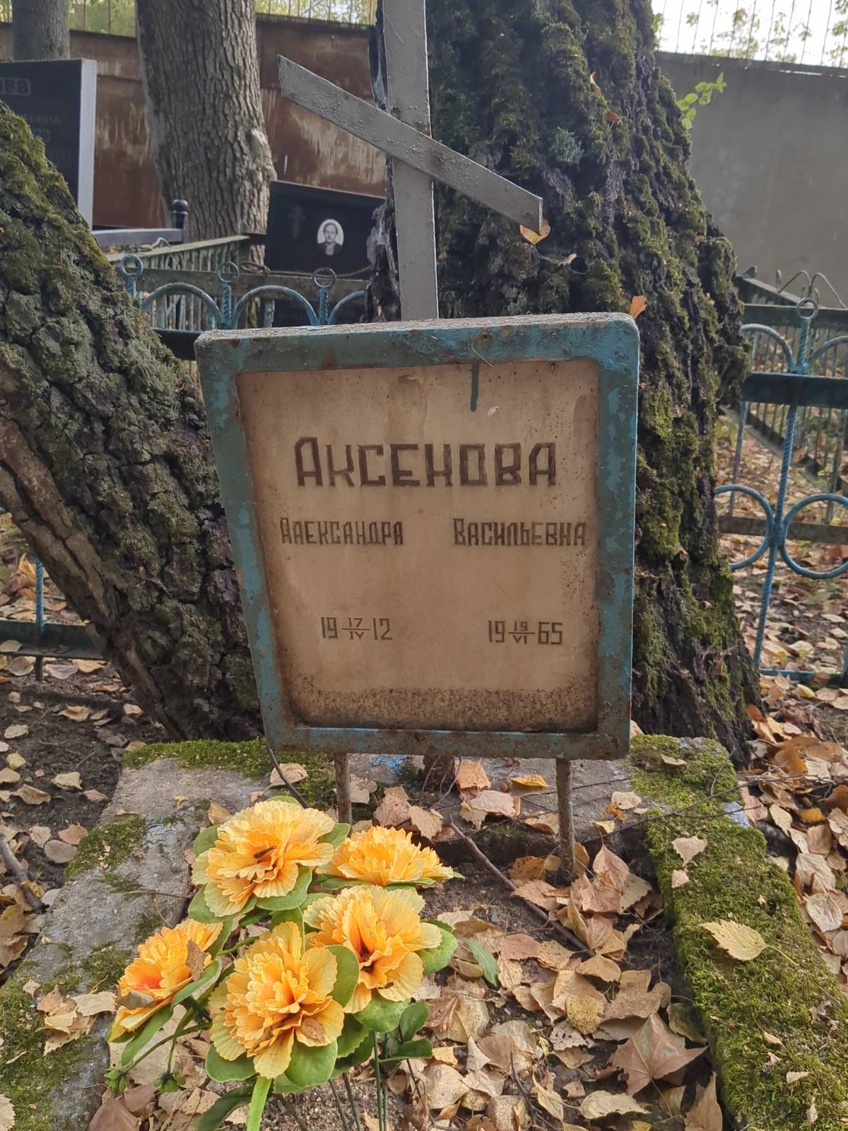 Аксенова Александра Васильевна