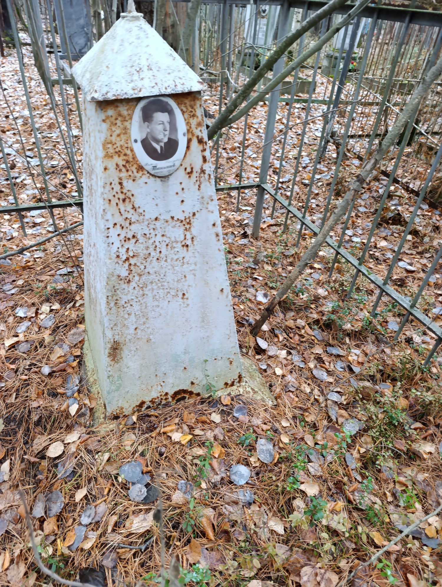 Танишев Николай Петрович