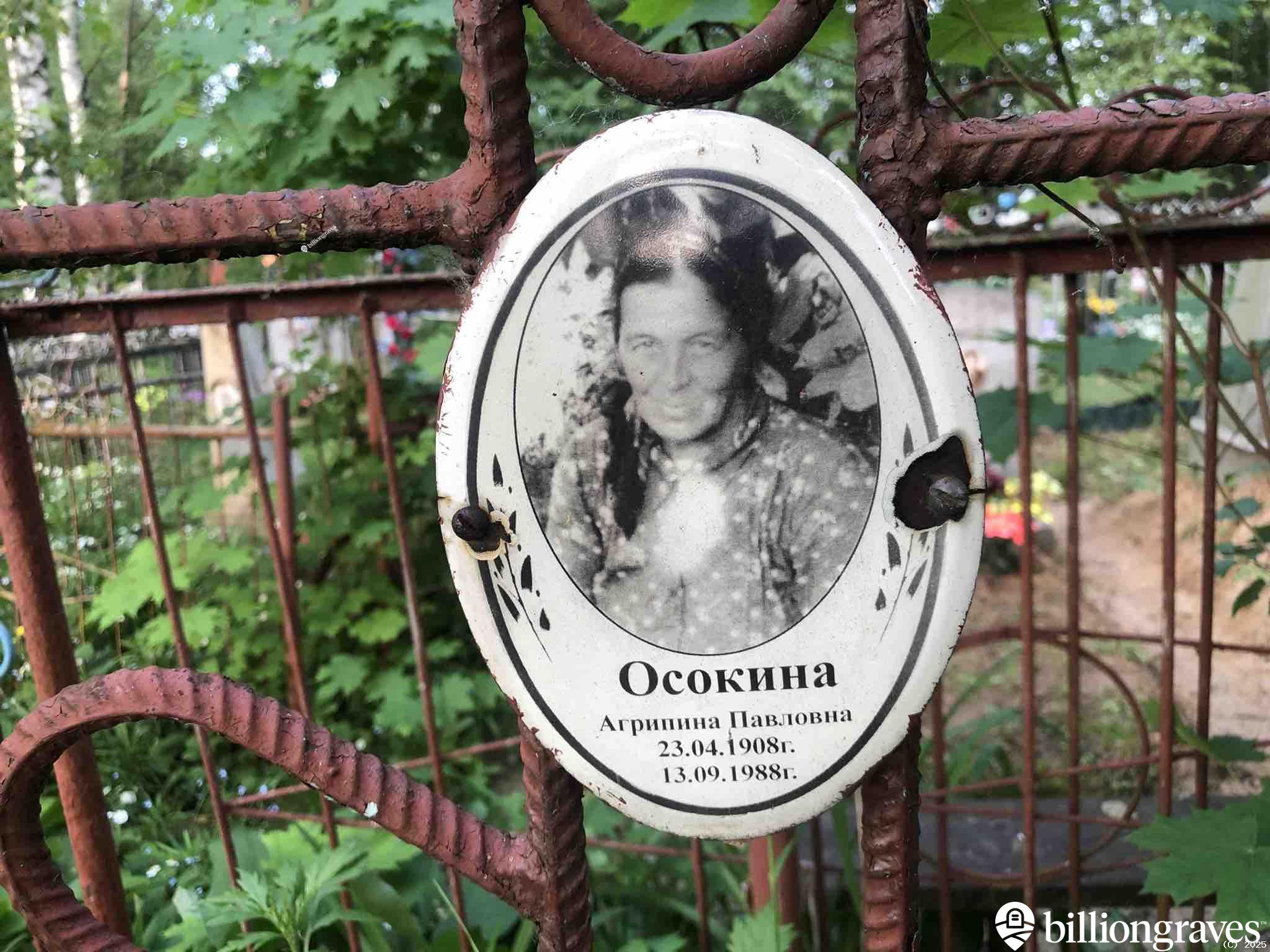 Осокина Агрипина Павловна