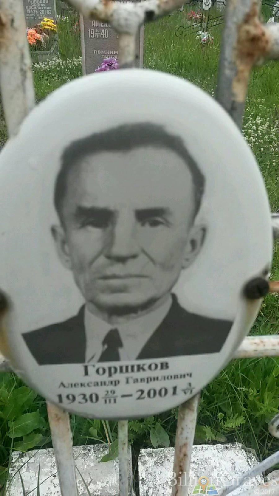 Горшков Александр Гаврилович