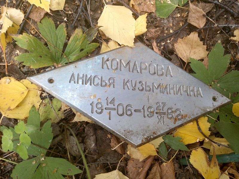 Анисья Комарова Кузьминична