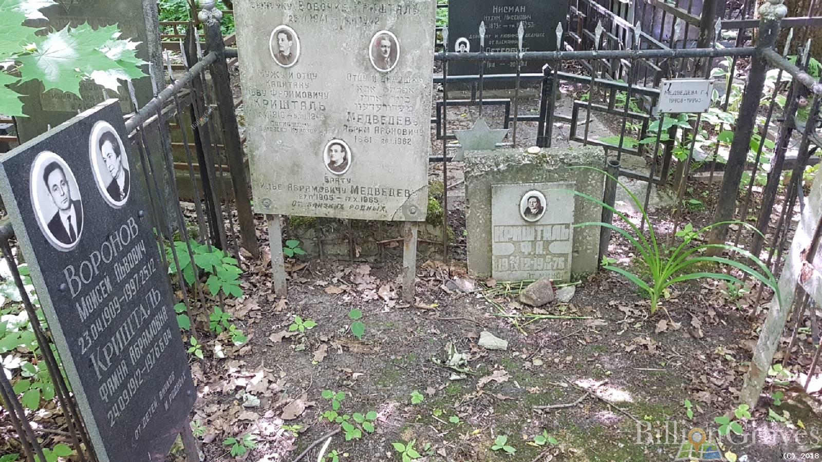 Воронов Моисей Львович