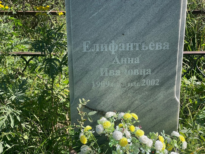 Елифантьева