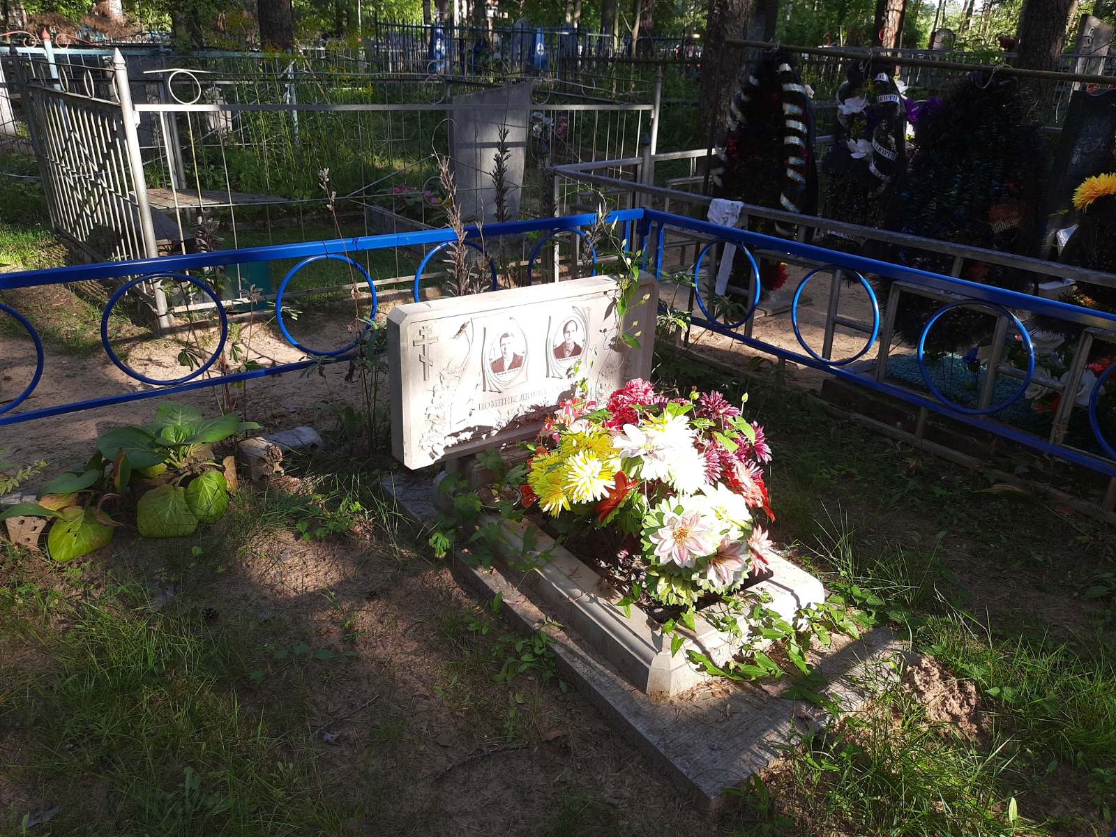 Коноплёва Мария Матвеевна
