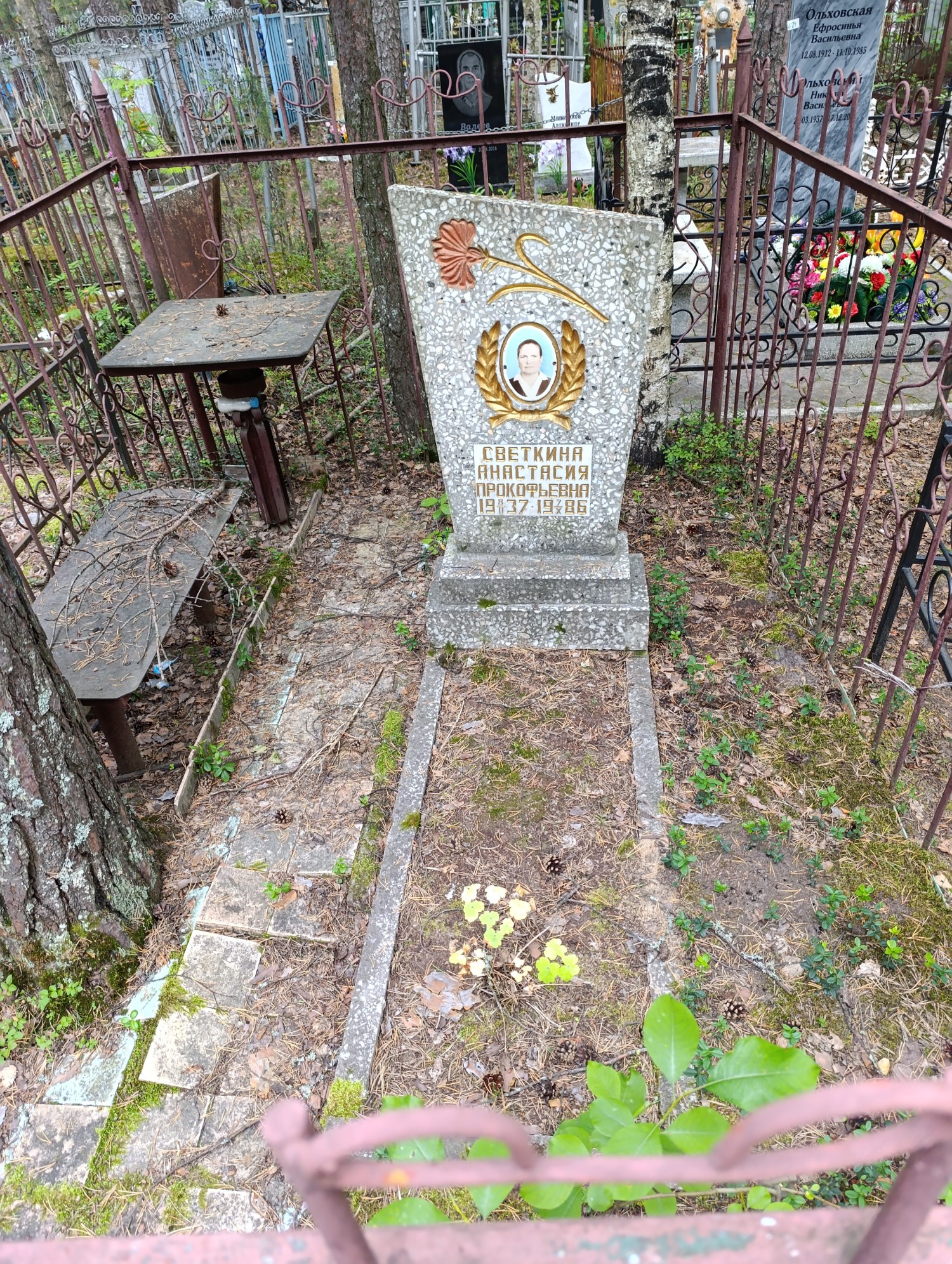 Светкина Анастасия Прокофьевна