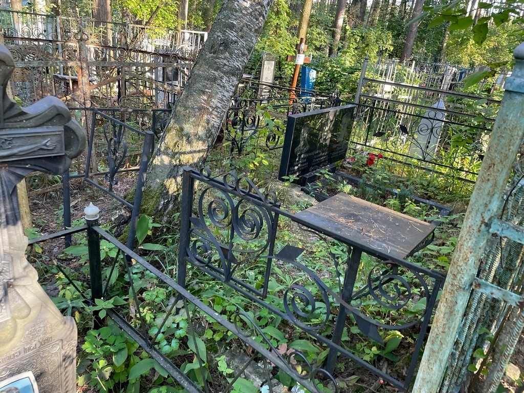 Шимарова Александра Николаевна