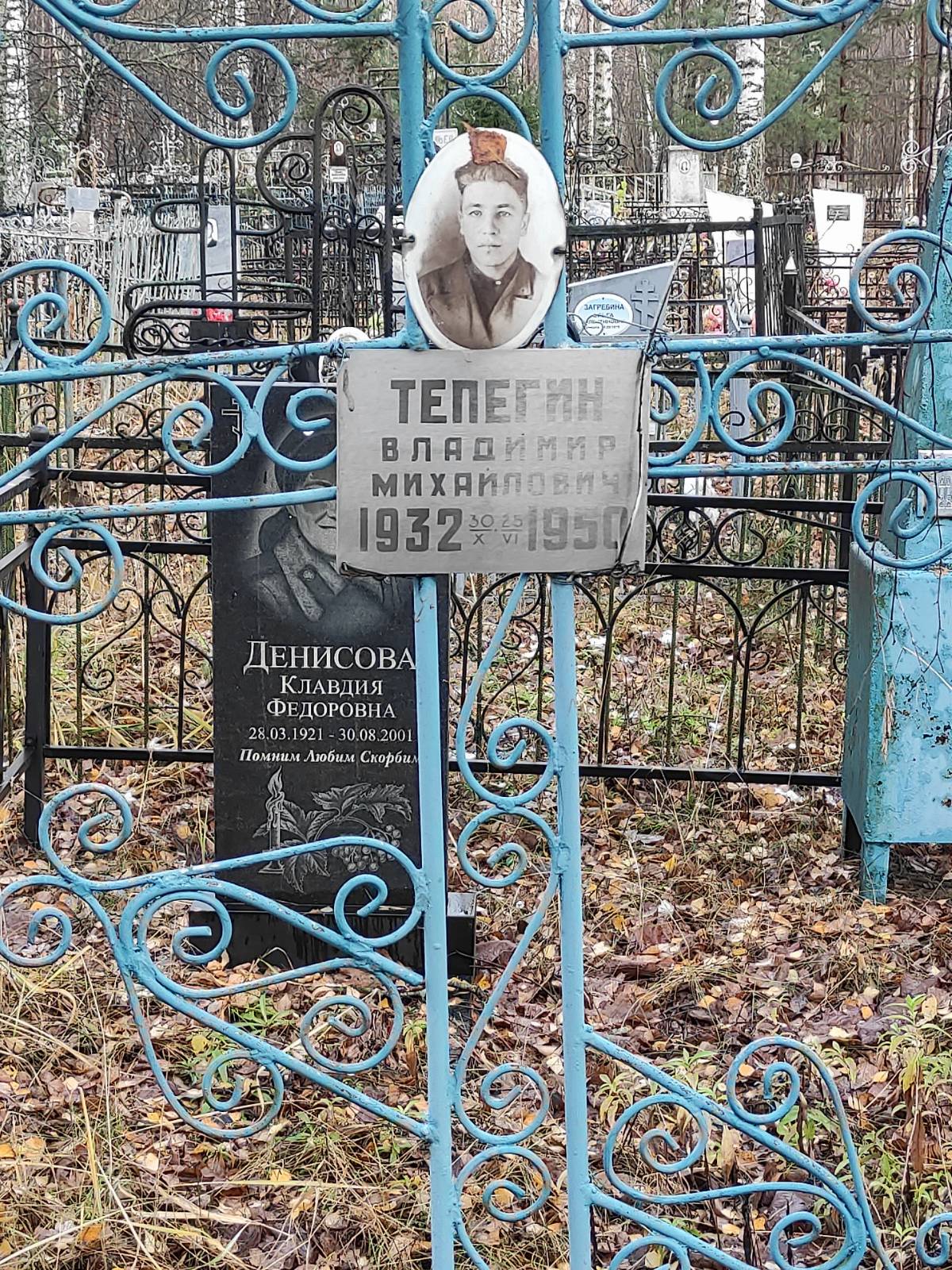 Тепегин Владимир Михайлович