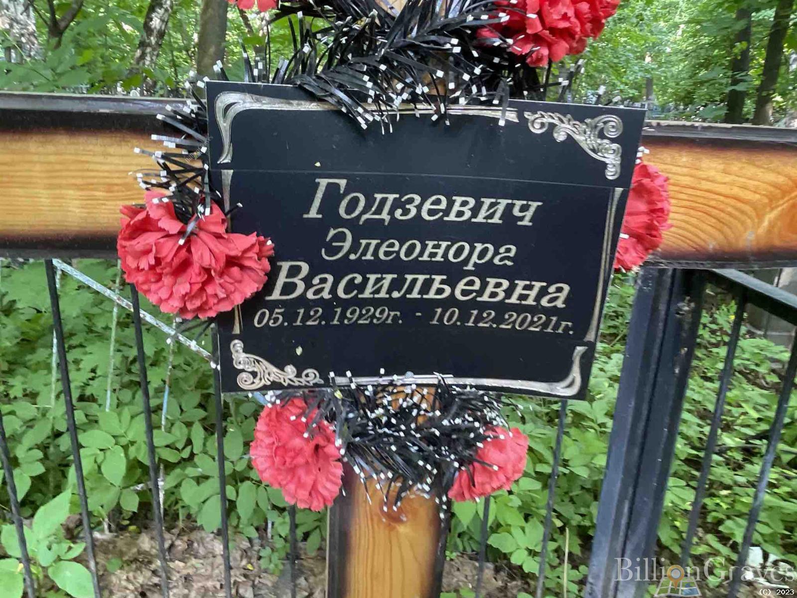 Годзевич Элеонора Васильевна