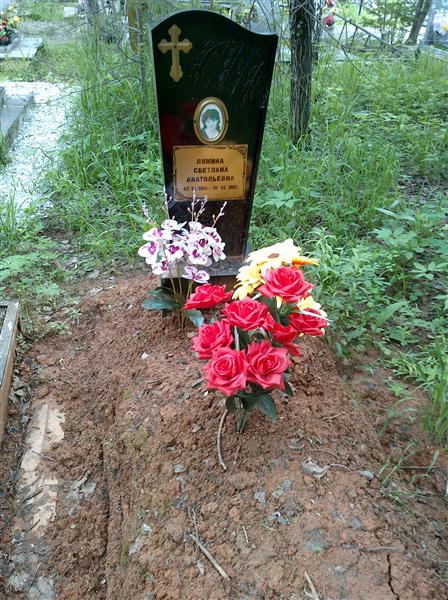 Лямина Светлана Анатольевна