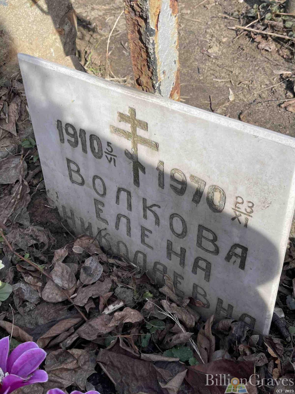 Волкова Елена Николаевна