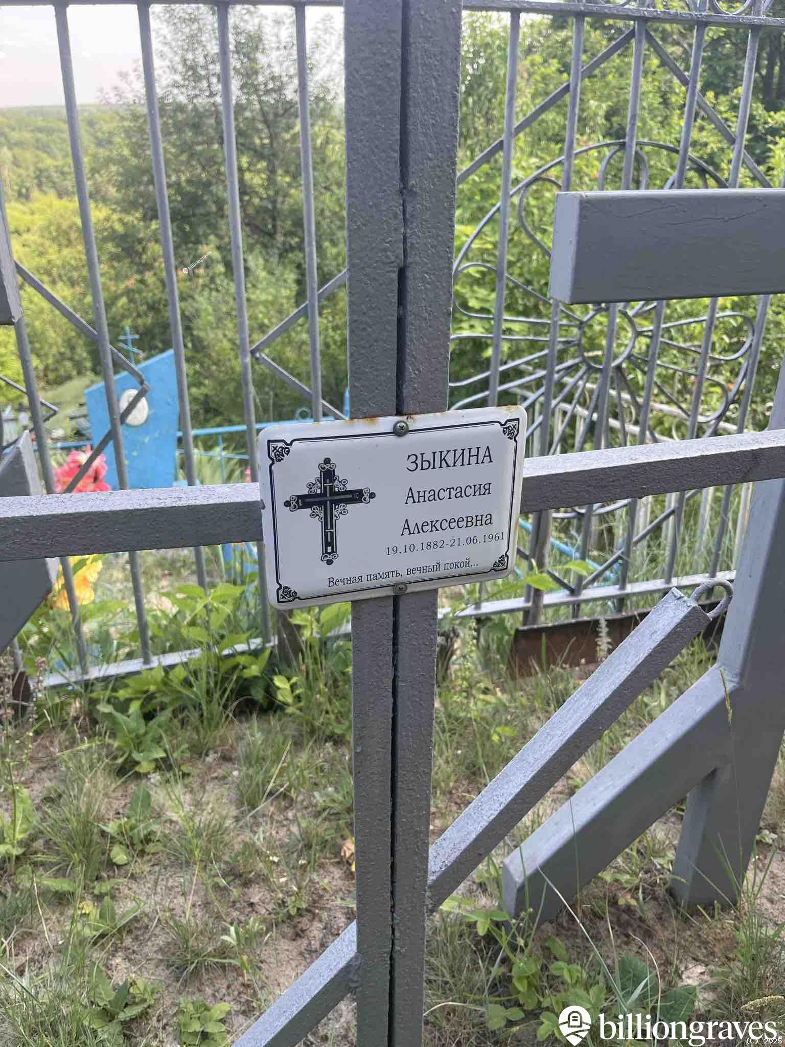 Зыкина Анастасия Алексеевна