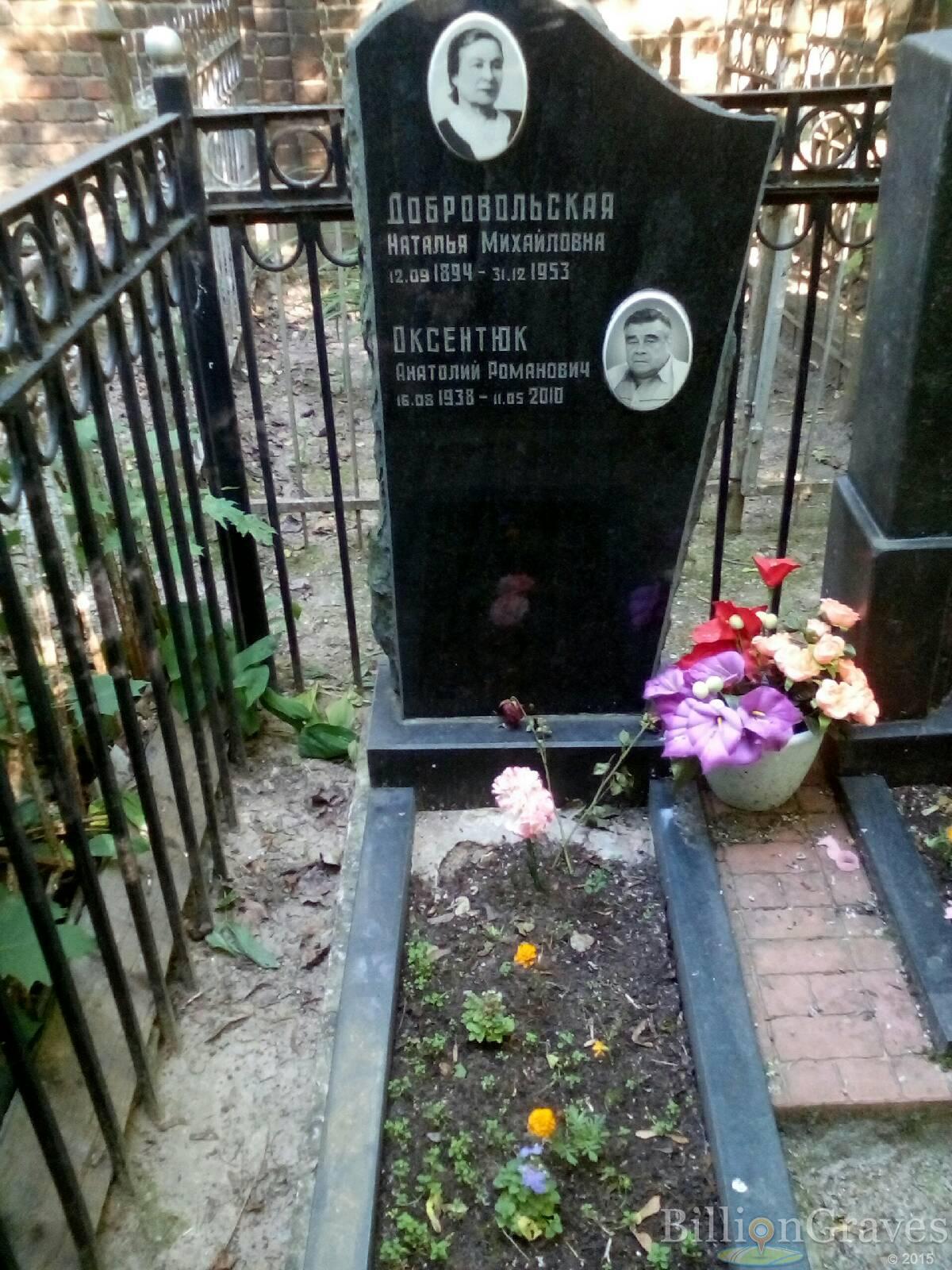 добровольская наталья михайловна