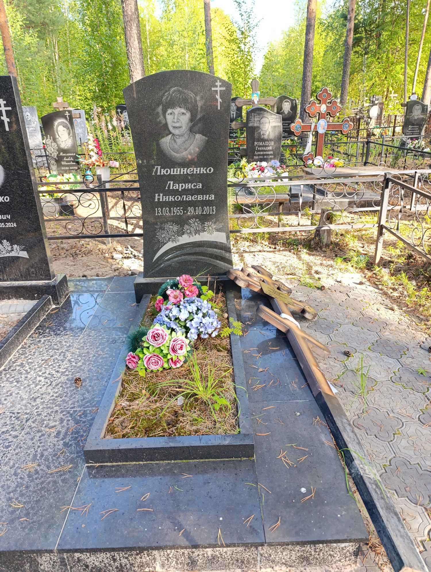 Люшненко Лариса Николаевна