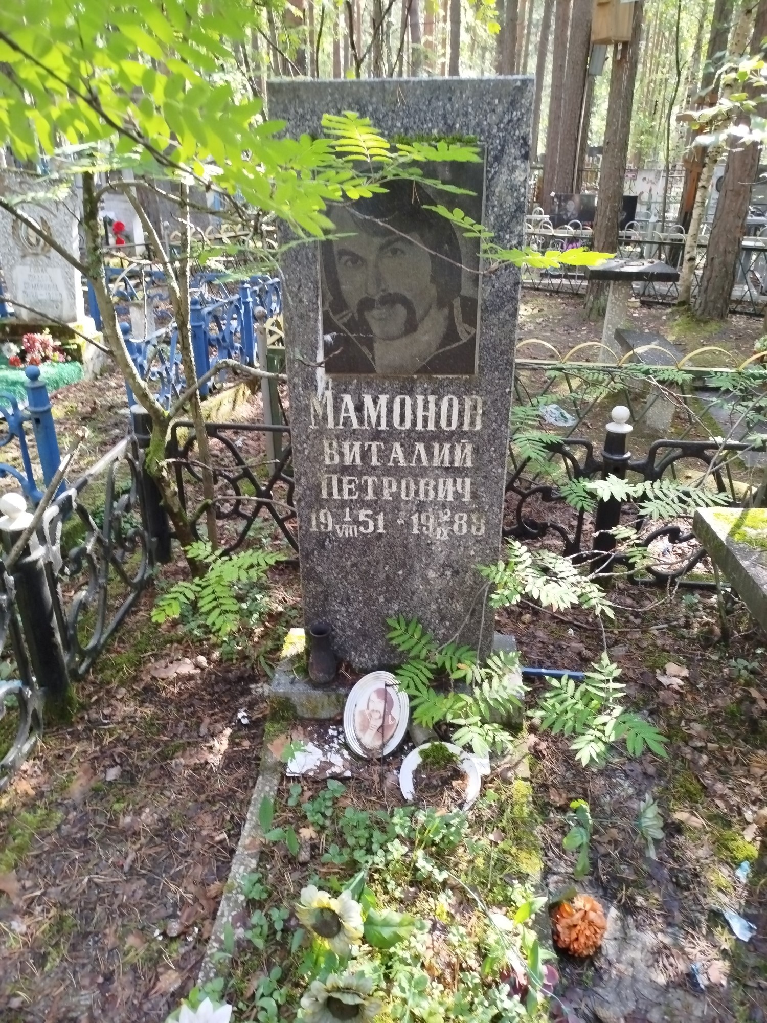 Мамонов Виталий Петрович