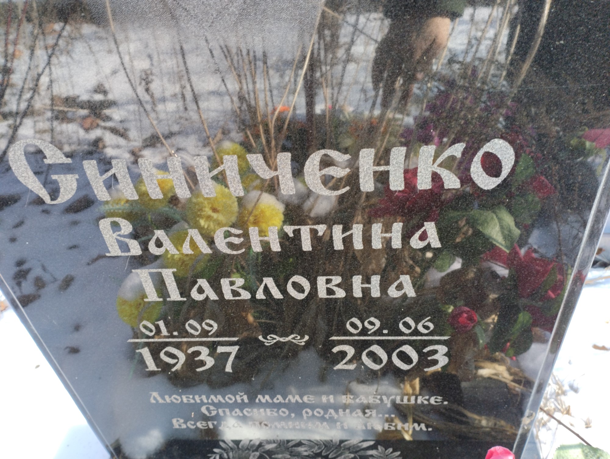 Синиченко Валентина Павловна