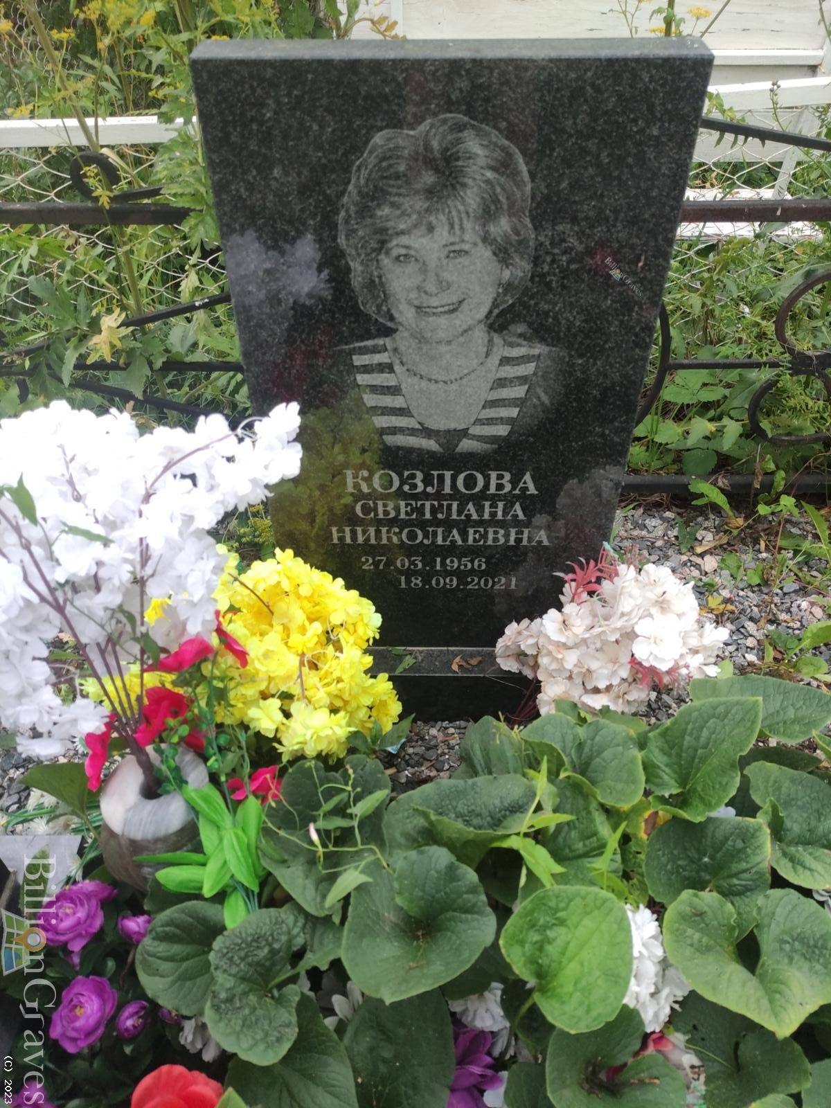 Козлова Светлана Николаевна