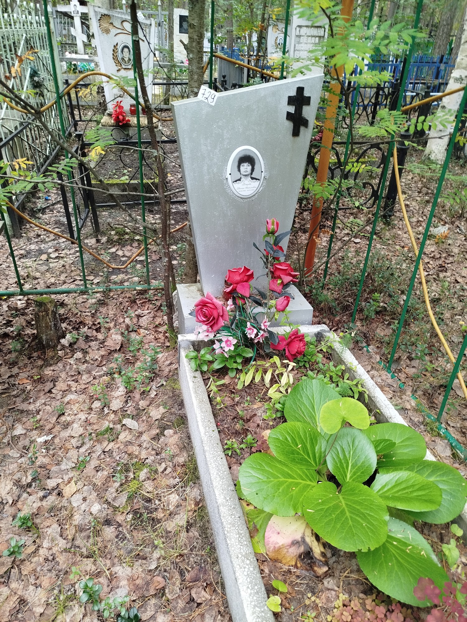 Петрова Евгения Васильевна