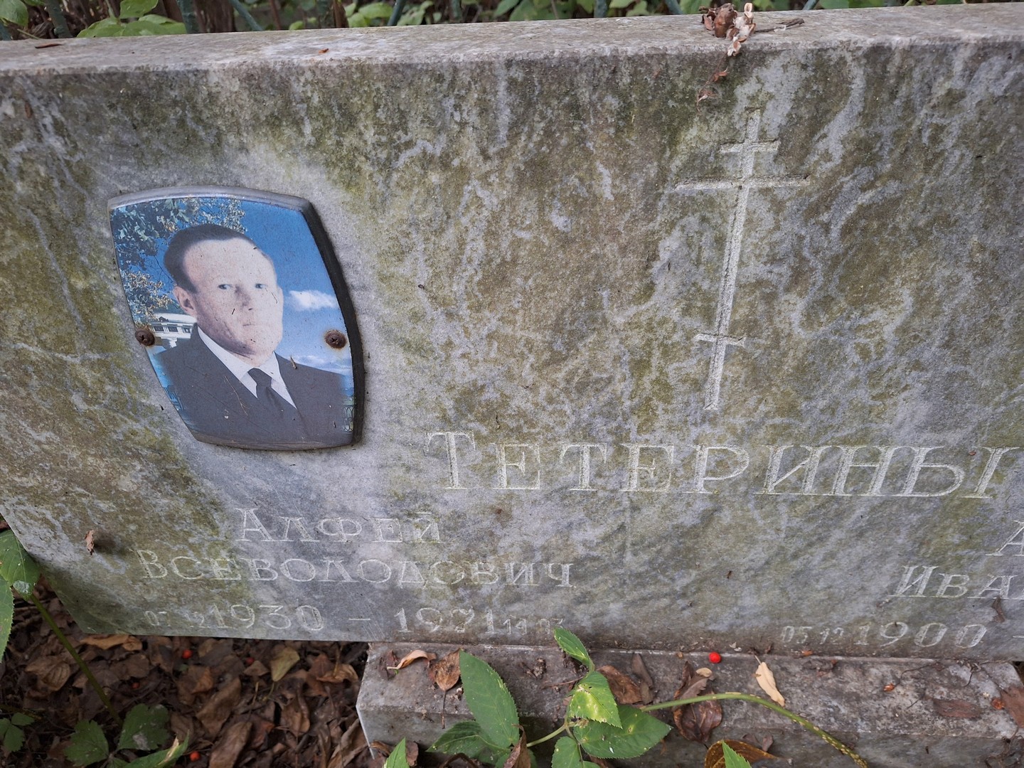Алфей Тетерин Всеволодович