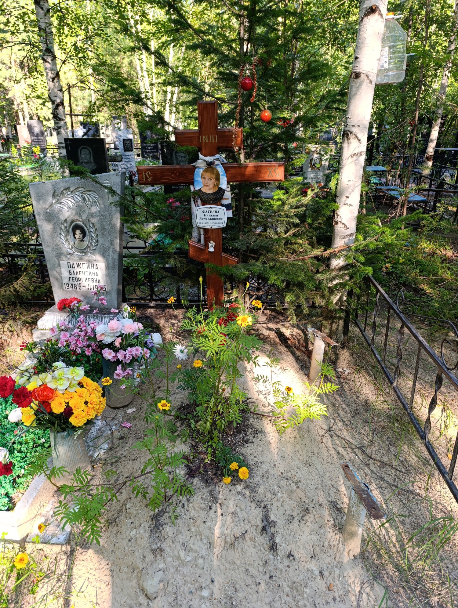 Фатеева Наталья Вячеславовна