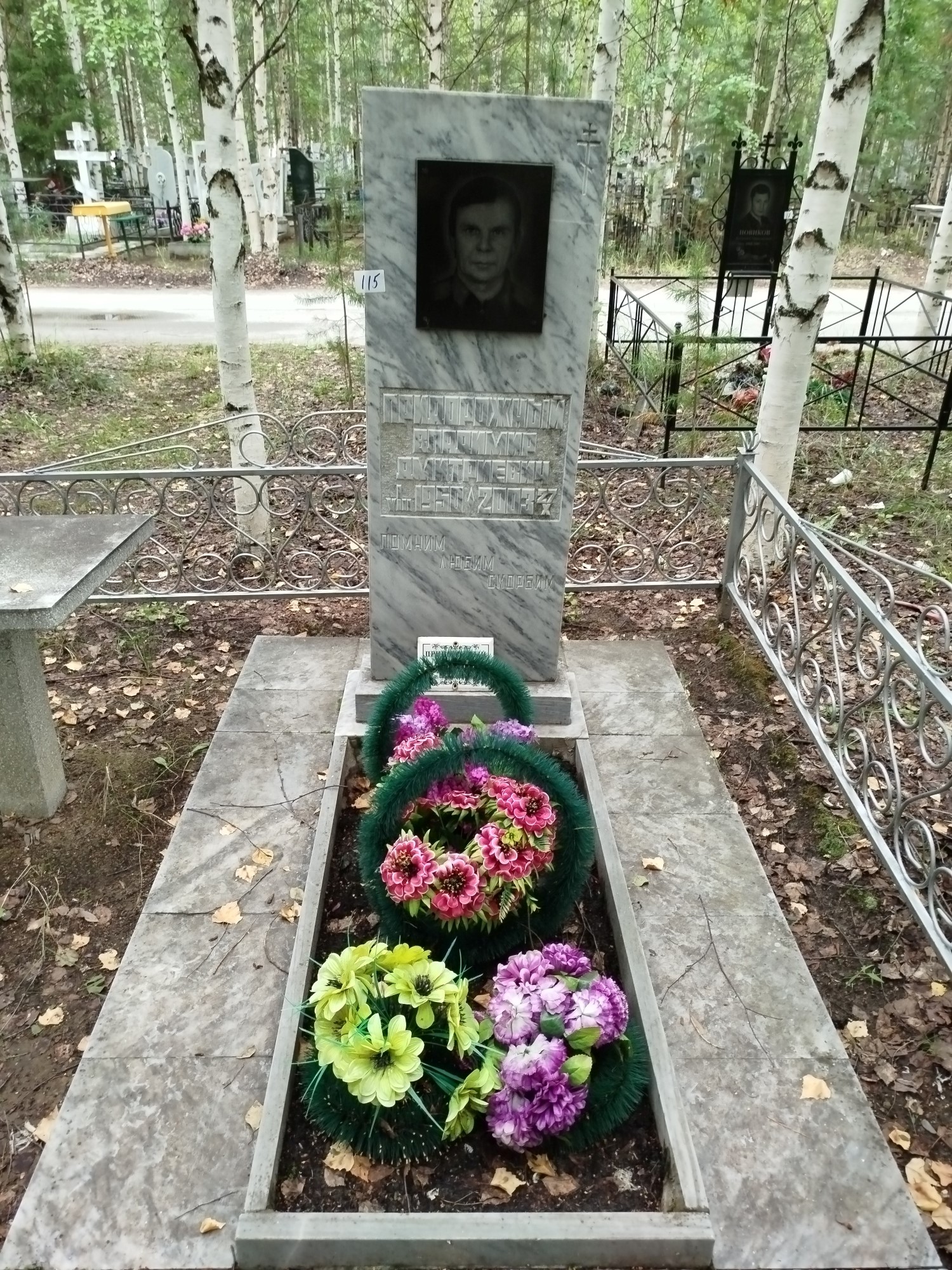 Придорожный Владимир Дмитириевич