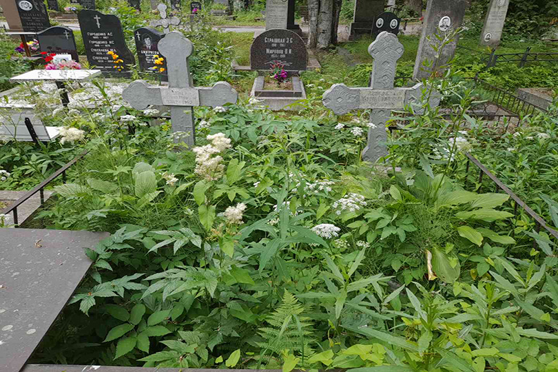 Лебедев В. М.