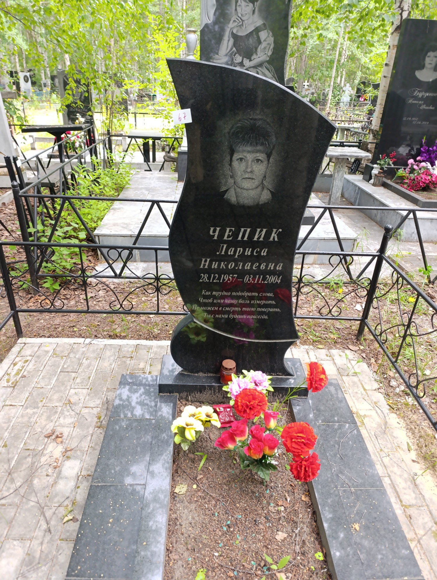 Чепик Лариса Николаевна
