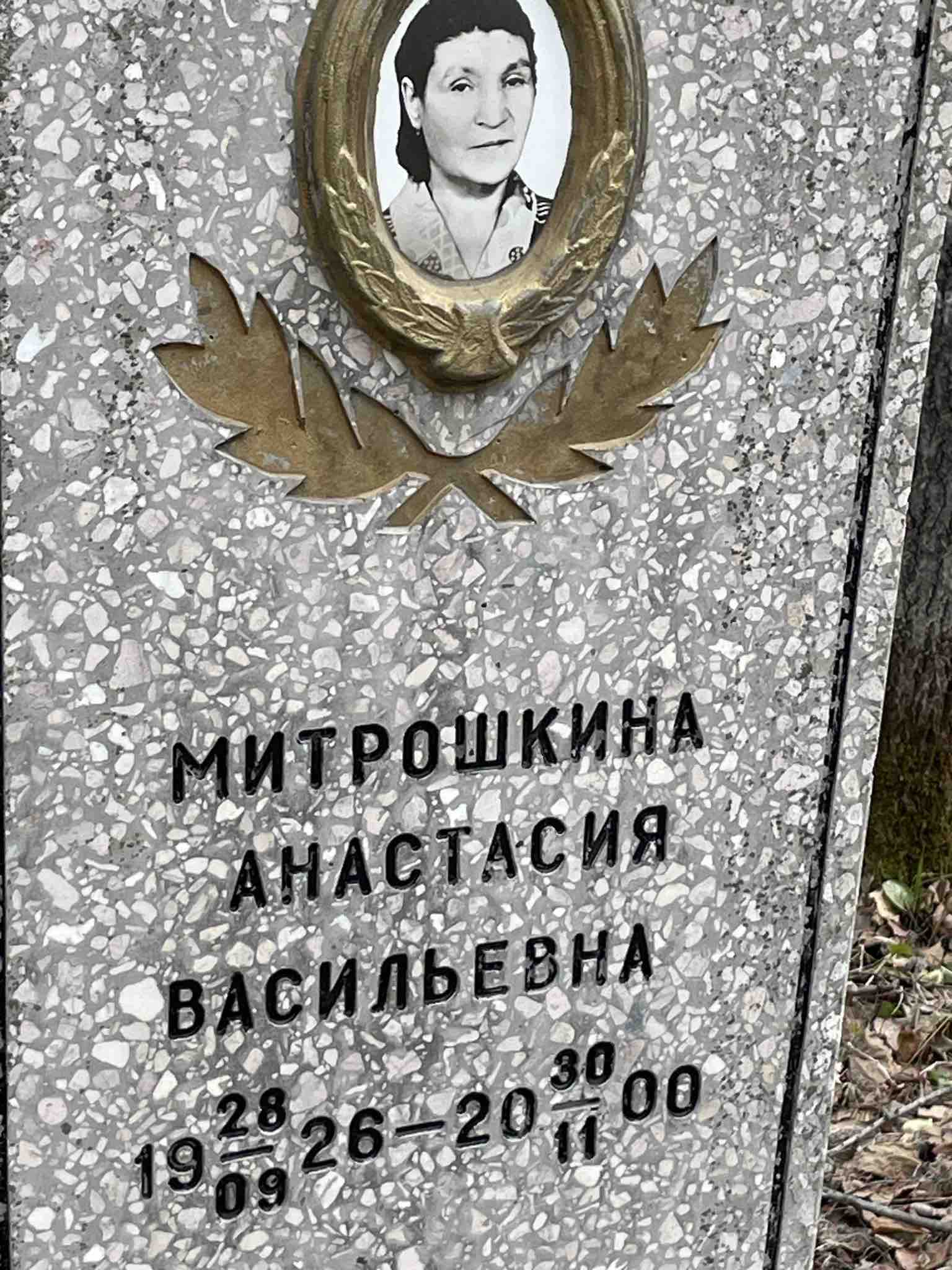 Митрошкина Анастасия Васильевна