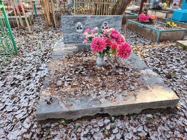 Чистякова Анна Николаевна