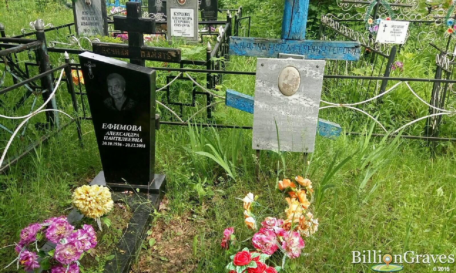 Андрианова Ксения Егоровна