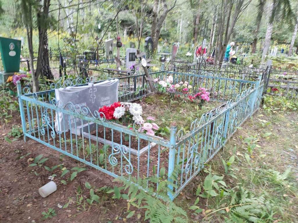 Елаева Евдокия Васильевна