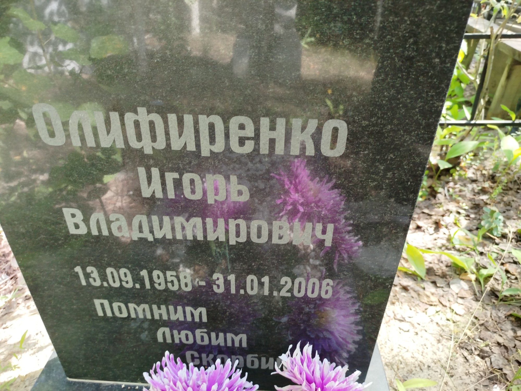 Олифиренко Игорь Владимирович
